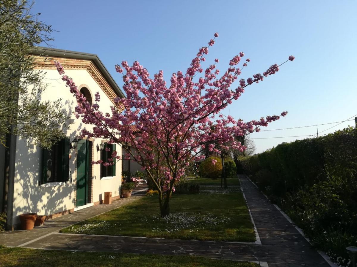 Gasthuis Casa Pianta Cavallino-Treporti