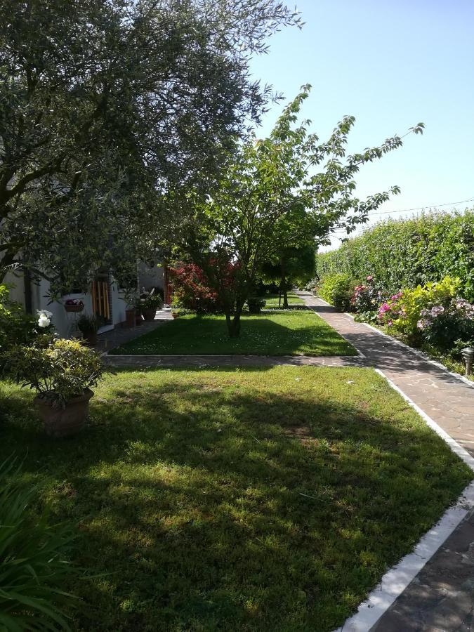 Affittacamere Casa Pianta Cavallino-Treporti